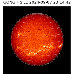 gong - 2024-09-07T23:14:42