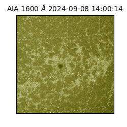 saia - 2024-09-08T14:00:14.126000