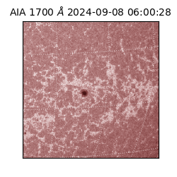 saia - 2024-09-08T06:00:28.717000