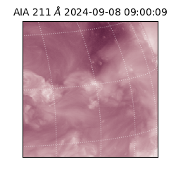 saia - 2024-09-08T09:00:09.626000