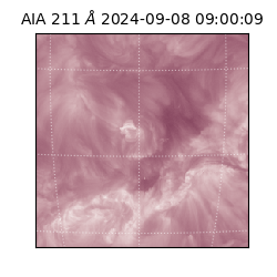 saia - 2024-09-08T09:00:09.626000