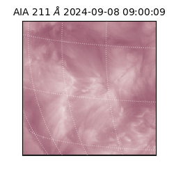 saia - 2024-09-08T09:00:09.626000