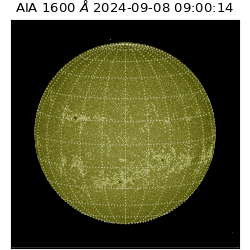 saia - 2024-09-08T09:00:14.129000