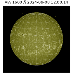 saia - 2024-09-08T12:00:14.126000