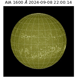 saia - 2024-09-08T22:00:14.129000