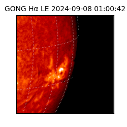 gong - 2024-09-08T01:00:42