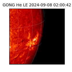 gong - 2024-09-08T02:00:42