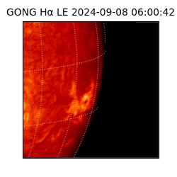 gong - 2024-09-08T06:00:42