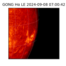 gong - 2024-09-08T07:00:42