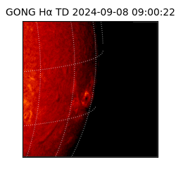 gong - 2024-09-08T09:00:22