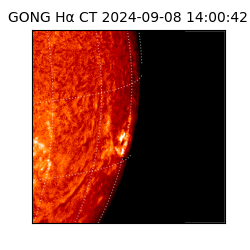 gong - 2024-09-08T14:00:42