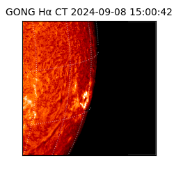 gong - 2024-09-08T15:00:42