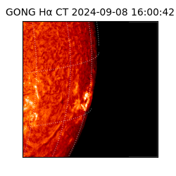 gong - 2024-09-08T16:00:42