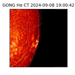 gong - 2024-09-08T19:00:42