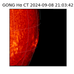 gong - 2024-09-08T21:03:42