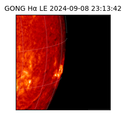 gong - 2024-09-08T23:13:42