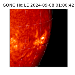 gong - 2024-09-08T01:00:42