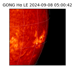 gong - 2024-09-08T05:00:42