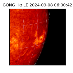 gong - 2024-09-08T06:00:42