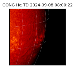 gong - 2024-09-08T08:00:22