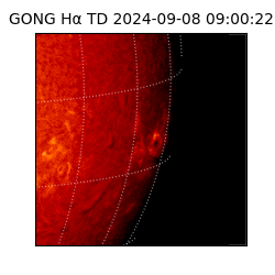 gong - 2024-09-08T09:00:22