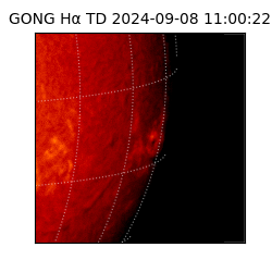 gong - 2024-09-08T11:00:22