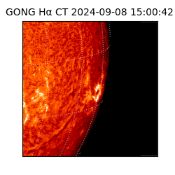 gong - 2024-09-08T15:00:42