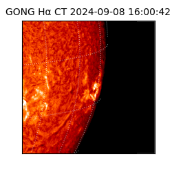 gong - 2024-09-08T16:00:42