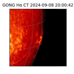 gong - 2024-09-08T20:00:42