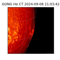 gong - 2024-09-08T21:03:42