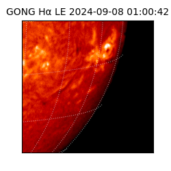 gong - 2024-09-08T01:00:42