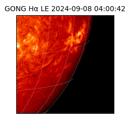 gong - 2024-09-08T04:00:42