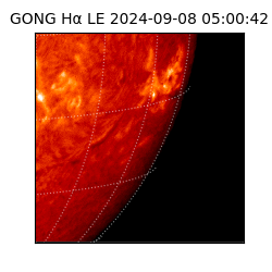 gong - 2024-09-08T05:00:42