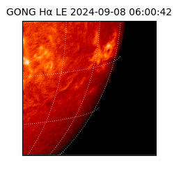 gong - 2024-09-08T06:00:42