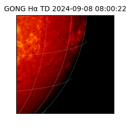 gong - 2024-09-08T08:00:22