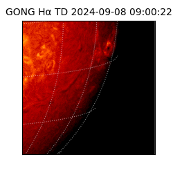 gong - 2024-09-08T09:00:22