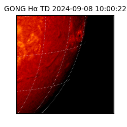 gong - 2024-09-08T10:00:22