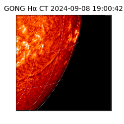 gong - 2024-09-08T19:00:42