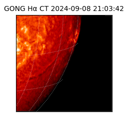 gong - 2024-09-08T21:03:42