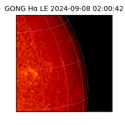 gong - 2024-09-08T02:00:42