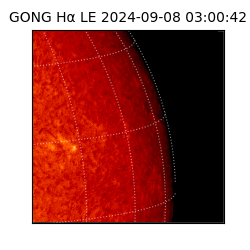 gong - 2024-09-08T03:00:42