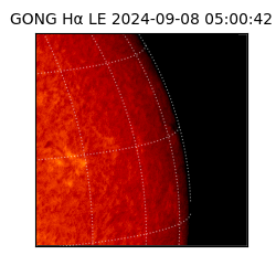 gong - 2024-09-08T05:00:42