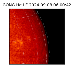 gong - 2024-09-08T06:00:42