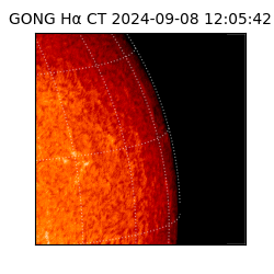 gong - 2024-09-08T12:05:42