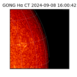 gong - 2024-09-08T16:00:42