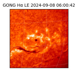 gong - 2024-09-08T06:00:42