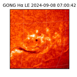 gong - 2024-09-08T07:00:42