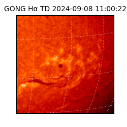 gong - 2024-09-08T11:00:22