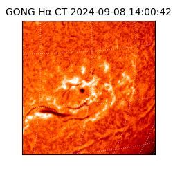 gong - 2024-09-08T14:00:42