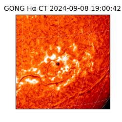 gong - 2024-09-08T19:00:42